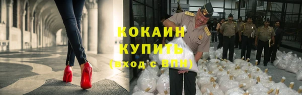 ПСИЛОЦИБИНОВЫЕ ГРИБЫ Зерноград