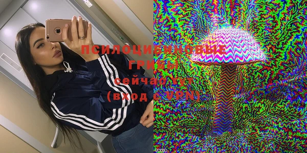 ПСИЛОЦИБИНОВЫЕ ГРИБЫ Зерноград