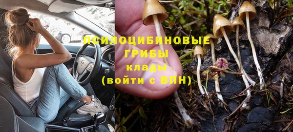 ПСИЛОЦИБИНОВЫЕ ГРИБЫ Зерноград